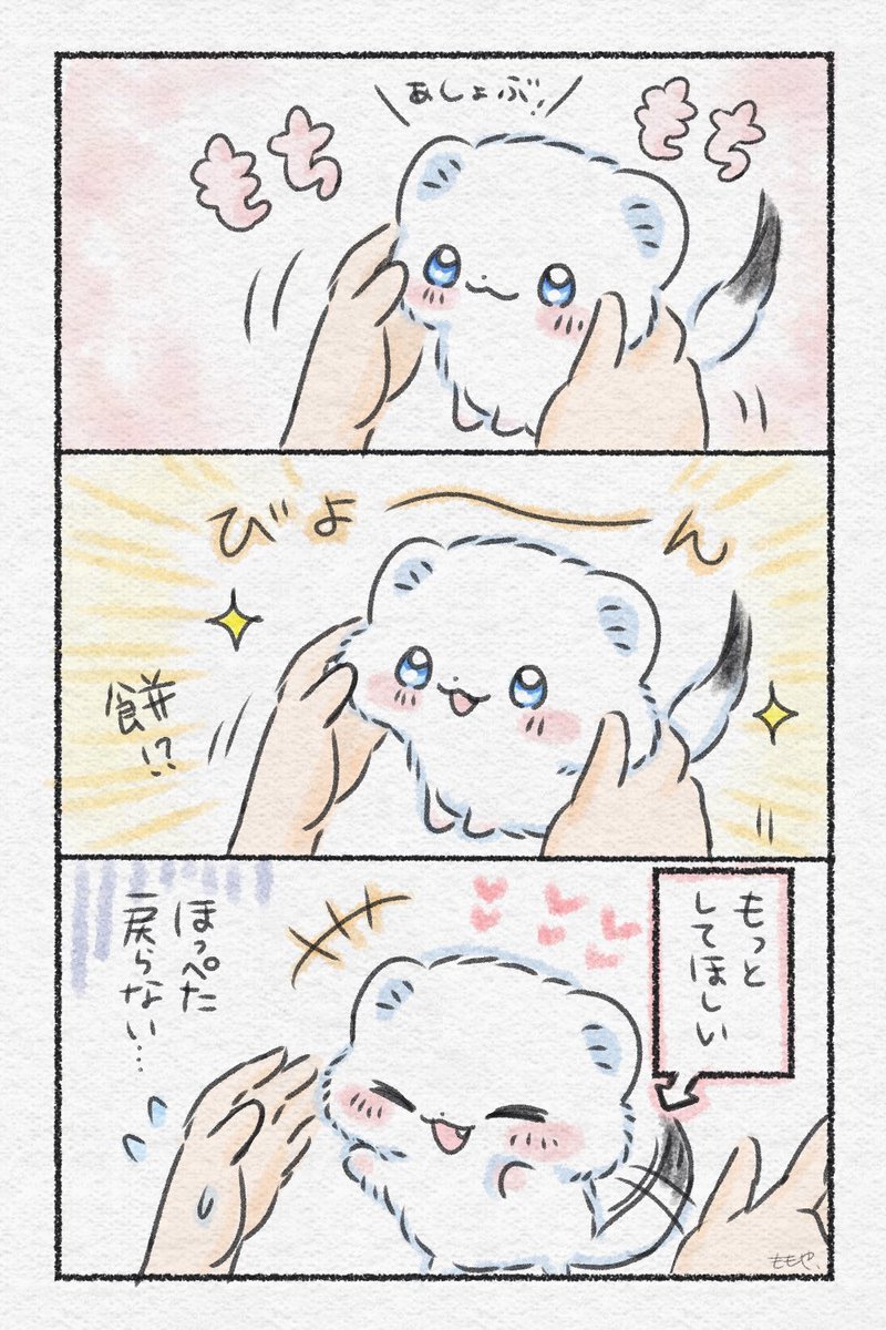 sanmiwaokojyo1's tweet photo. もちもちオコジョ🌸✨
#おこさまおこじょ #ゆるいイラスト https://t.co/hfUuaNRND7