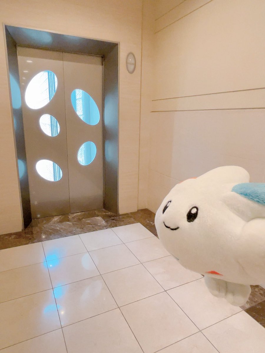 haritama_fly's tweet photo. あな、あいてるー。

#ポケモンfit  #ポケモンfitのある暮らし
#まちあるキッス #ぬい撮り https://t.co/oOwkhamegY