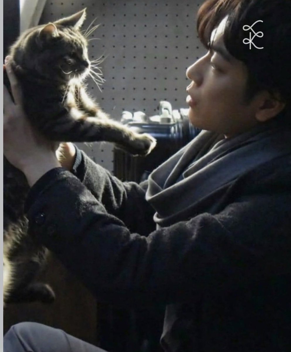 TWICETWTWITWICE's tweet photo. 【映画｢냥이｣続報】
佐藤健演じる主人公の為に、サナは人間になることを決意した猫の役を演じる。 https://t.co/Km57HSIu9V