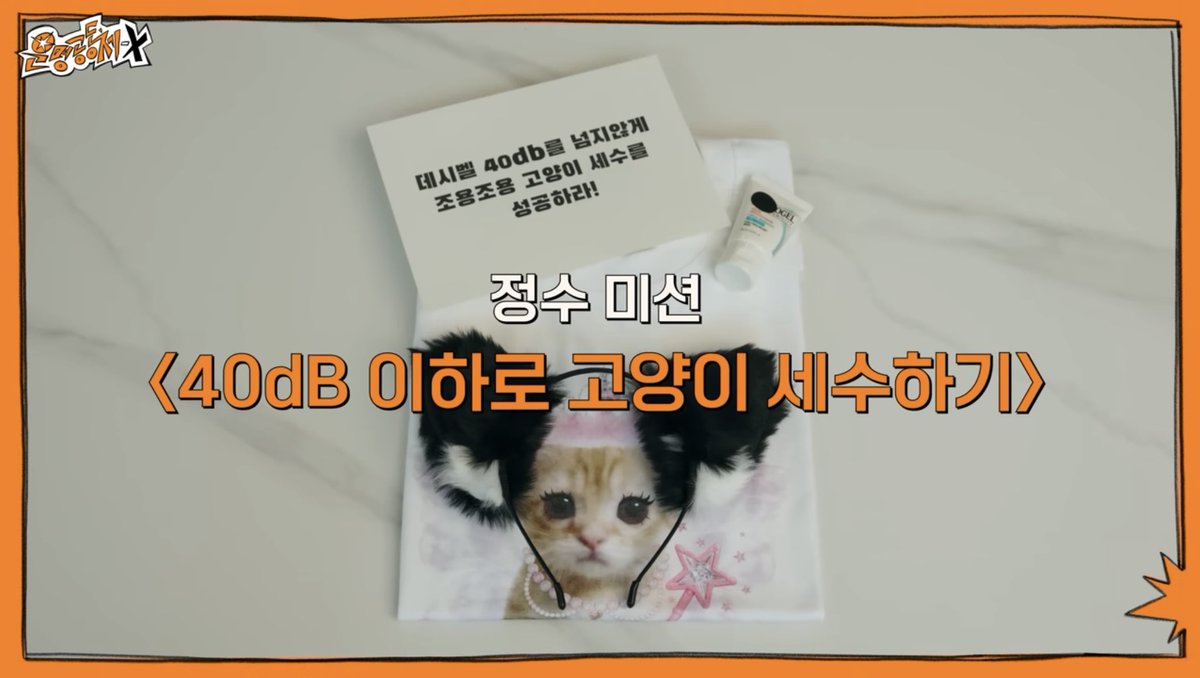 Don6_11's tweet photo. 천사 고양이🐱

#정수 #Jungsu #XdinaryHeroes #엑스디너리히어로즈 https://t.co/0Fwq0766Vu