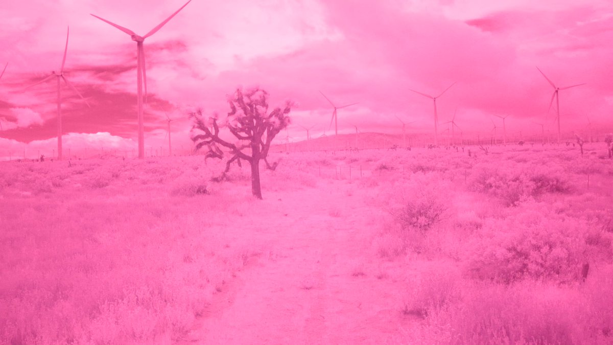 cbaspuntocom's tweet photo. What’s wrong with this footage?
- WB/temp/tint issues
- color space, color transform mismatch
- bad recorder HDMI
- none of the above https://t.co/ppbZnWR9yZ