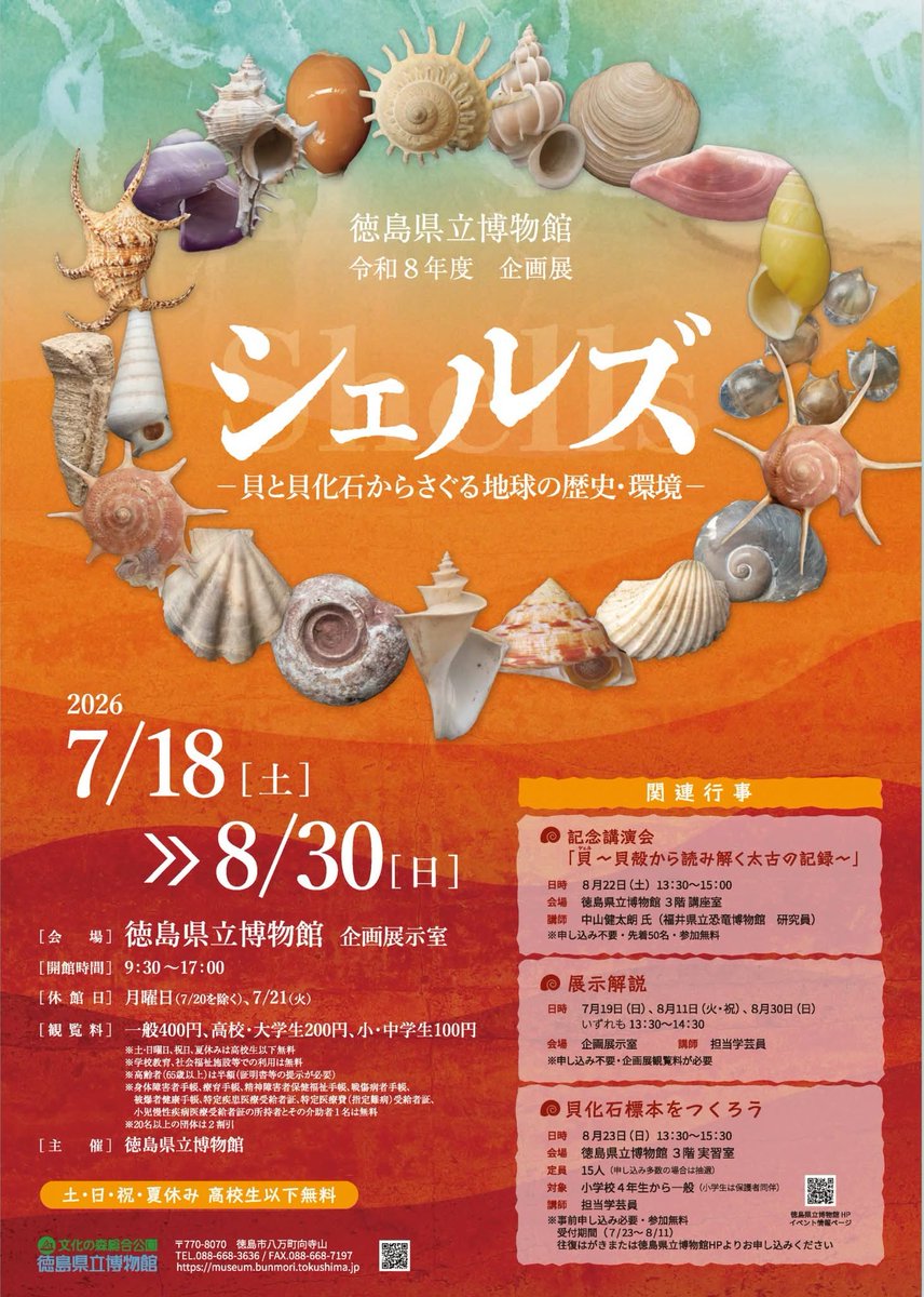 夏の企画展「シェルズ－貝と貝化石からさぐる地球の歴史・環境－」徳島