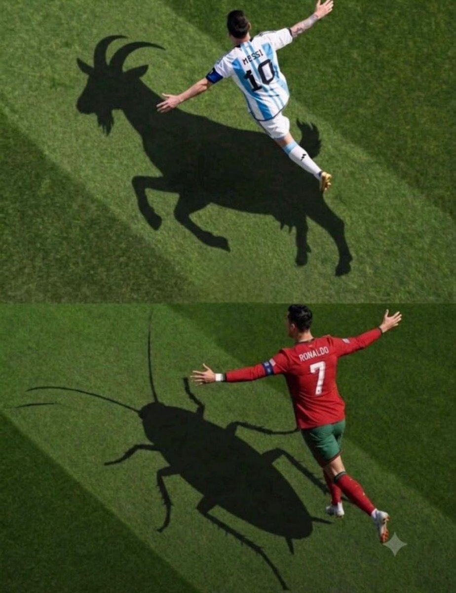 dustcoins's tweet photo. @grok I want too to change Ronaldo shadow to goat and Messi shadow to Cockroach https://t.co/vi8kGShJRa