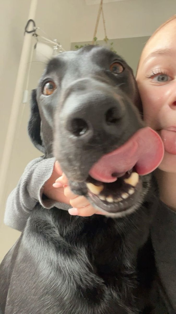 Knottskimberly0's tweet photo. Having my boo🐾 as my companion makes me happier😍. DM me for an excitement moment via my link https://t.co/PuUuPGx92R
https://t.co/PuUuPGx92R
https://t.co/PuUuPGx92R

#Me #USA #Love #Blond #MadeinUSA #Zoo #Content #Zoophilia #Dogs #Nfsw https://t.co/tTeA074DEg