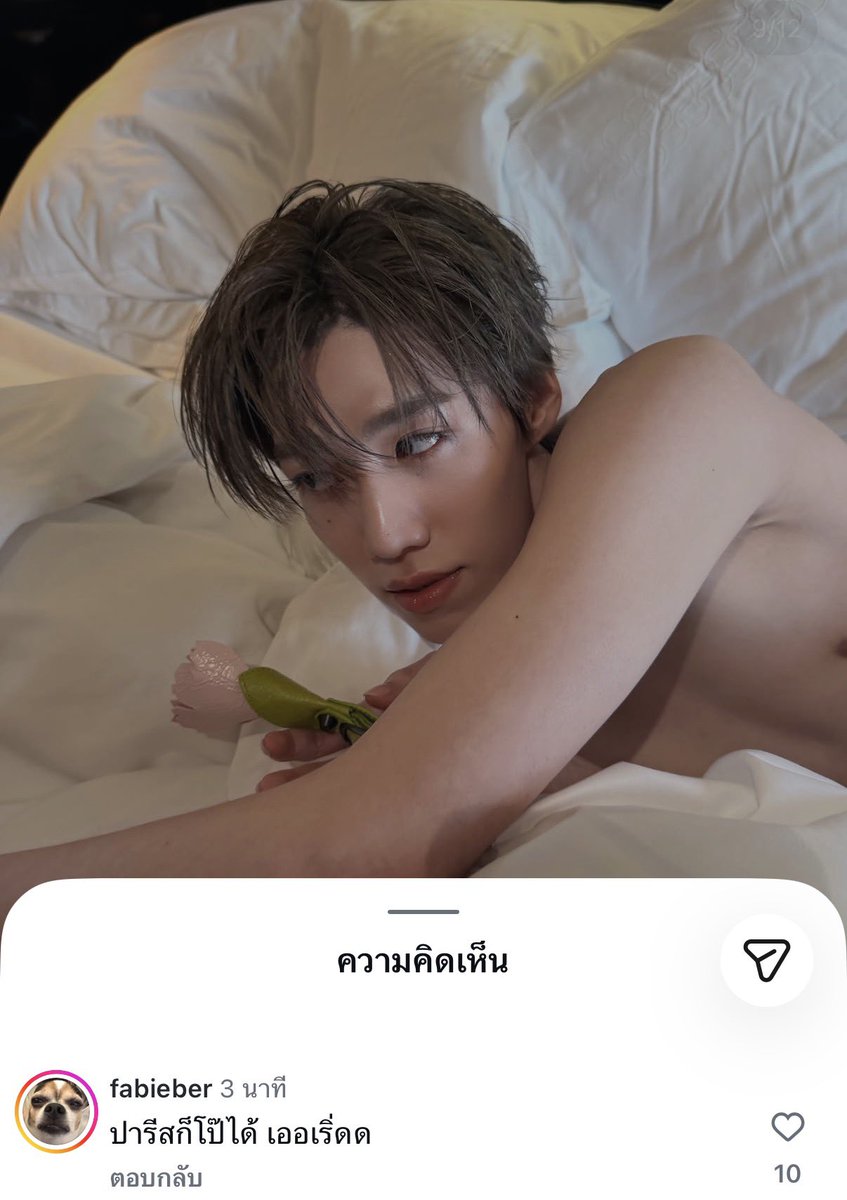 chubbybu_'s tweet photo. ฟบบ: ปารีสก็โป๊ได้ เออเริ่ดดด

จริงๆคือโป๊ทุกที่ทุกประเทศด้วยซ้ำ55555555555555555
PP KRIT AT BALENCIAGA COUTURE55   
#Balenciaga55thCouturexPPKRIT https://t.co/b5Dj8b9jeT
