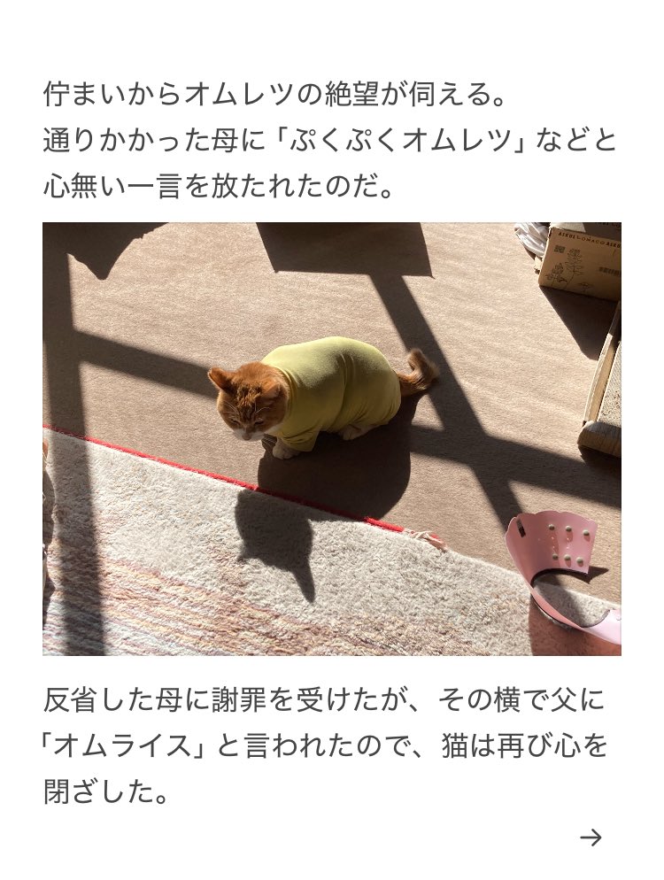 yalalalalalala's tweet photo. 【猫の術後服に注意が必要な理由】 https://t.co/wYtodYEOMz