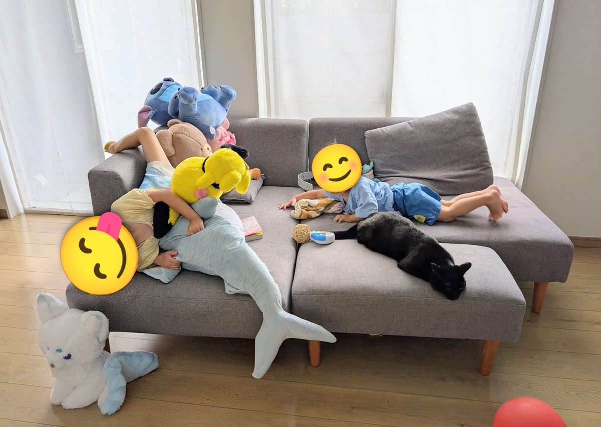 konekowohirotta's tweet photo. 3003日目。
黒猫、どーーーこだ
みたいな感じでヌイグルミと子どもの狭間に埋もれていく黒猫……であるが、結構背後でドッタンバッタンされつつ蹴られたり踏まれそうになったりしている。にも関わらず、背中に目でもあるのかイカ耳センサーが高感度なのか許容範囲が広いのか、微動だにせず…。 https://t.co/hFTdkAiQJc