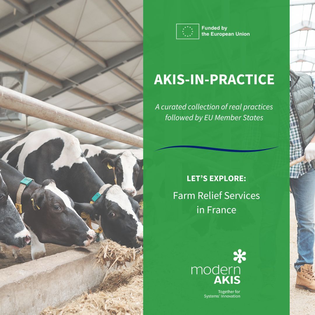 modernAKIS's tweet photo. 💡Supporting farmers also means supporting their work-life balance.

🔎In this #AKISinPractice, discover how Farm Relief Services in France provide replacement support during illness, holidays or caregiving responsibilities. 

👉 Explore this in practice: https://t.co/RZ6Ej5rS1I https://t.co/I9CrCbv50v
