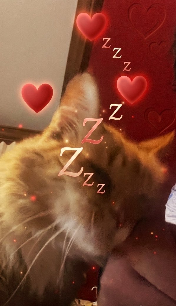 Ron25163145's tweet photo. @sierracatalina Purrr …. 💤🙏amazing people tysm 🐈 https://t.co/HsHJOv6NLO