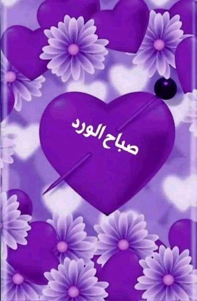 mohamed salam tweet media