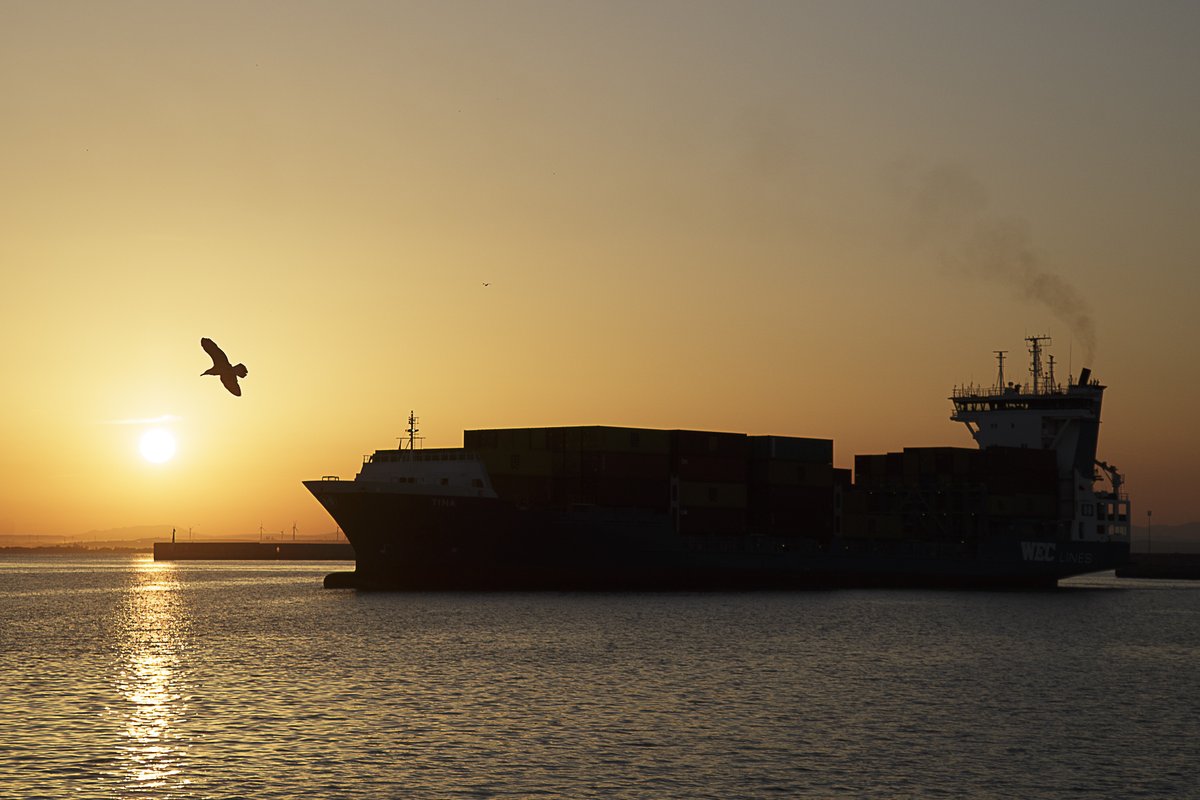 puertodecadiz's tweet photo. Hoy el Puerto de #Cádiz amaneció con la entrada del portacontenedores TINA.
Compartimos con vosotros unas fotografías.
#containership #Tina #portofspain #mooring #mundoports https://t.co/VGmK4ZUt53