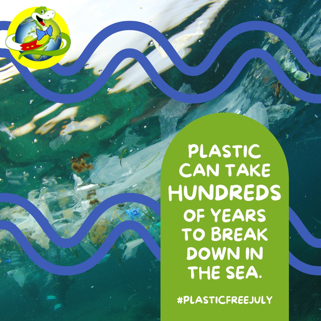 JakesSnakebites's tweet photo. While plastic is in the ocean, it can harm fish, turtles and other sea animals who may mistake it for food or get tangled in it. We can all help by using less plastic, recycling properly and putting litter in the bin ♻️💙 Jake x

#plasticfreejuly #protectouroceans #saveoursea https://t.co/ny4T8D198N
