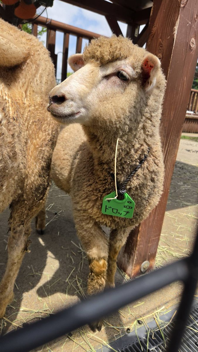 東武動物公園【公式】 (@tobuzoo_info) / Posts / X