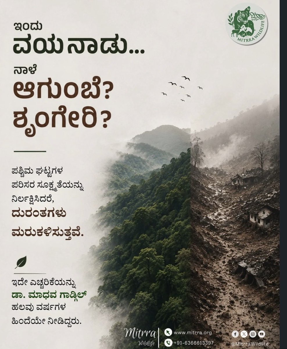 TheWesternGhat's tweet photo. #SaveAgumbe #SaveWesternGhats #SaveKarnataka #Wayanad https://t.co/ypF5iMmOZ6