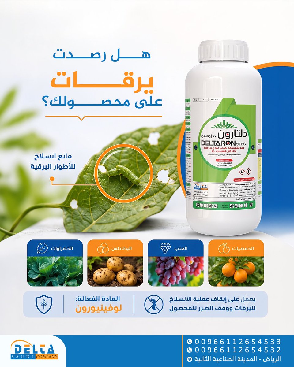 Delta Saudi Company tweet media