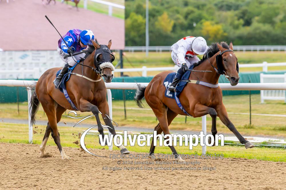 Wolverhampton Races tweet media
