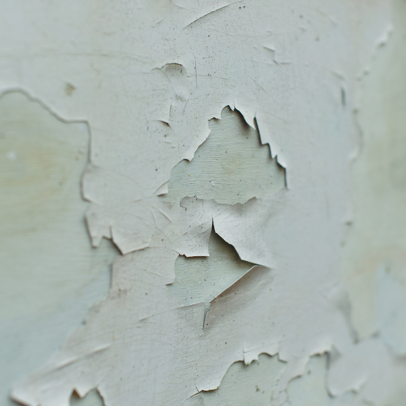 bcpainters's tweet photo. 🎨 July Tip: Inspect exterior paint for signs of peeling or fading.
Addressing issues early can help protect your property.
📞 Contact us today. #BestChoicePainters #PaintingService #ProfessionalPaintingService #ProfessionalPainter #InteriorPainting #Exteriorpainting https://t.co/XSkprQFDfb