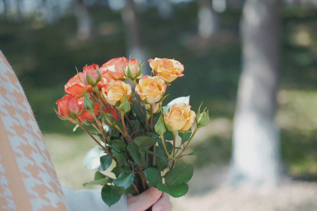 MarkusSoine's tweet photo. New to photography Start with these 3 easy tips: use natural light, focus on one subject, and keep your background simple. Perfect shots don’t need fancy gear! https://t.co/9TFQkEdXzL
