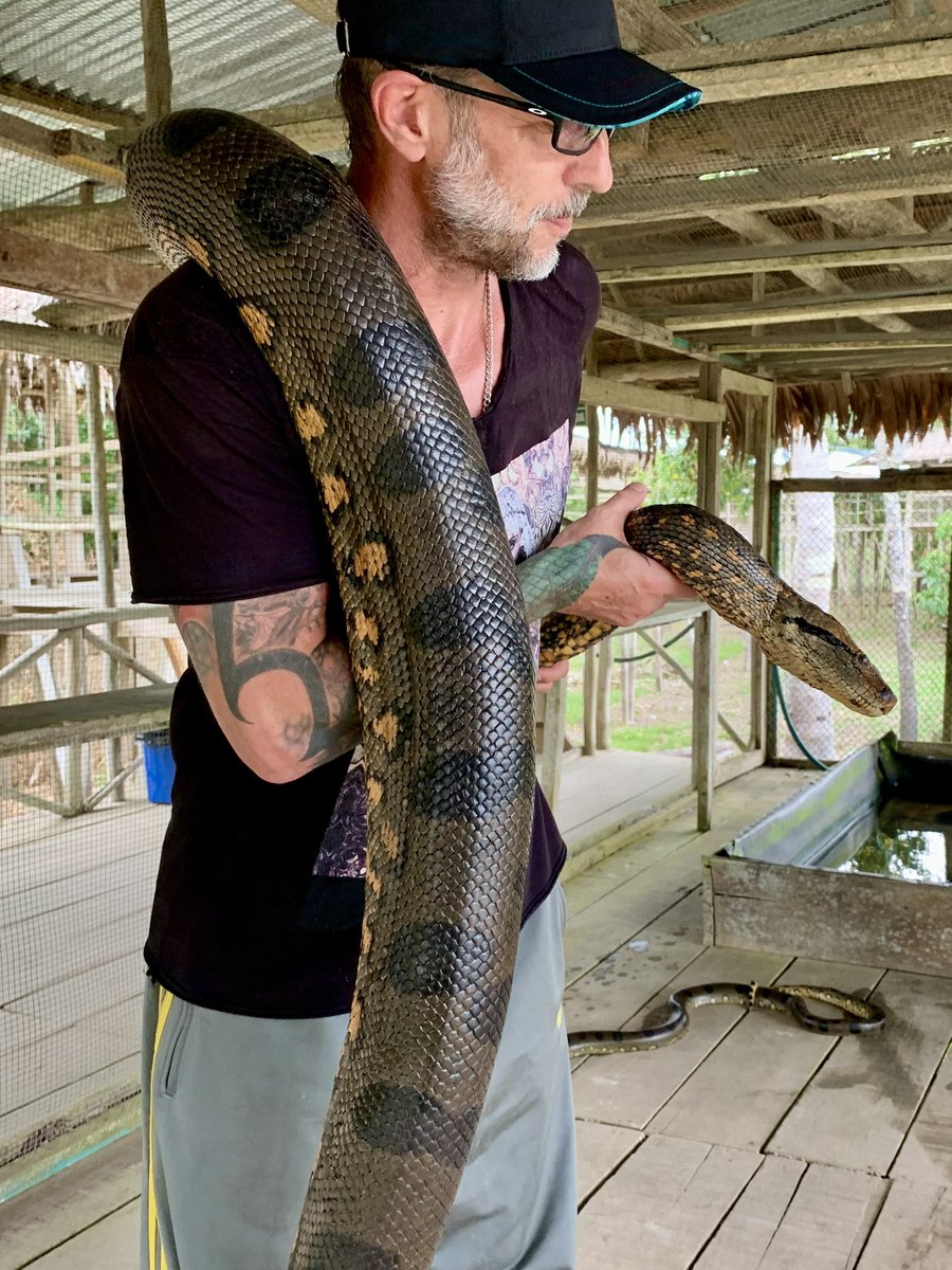 KLERBOX's tweet photo. Welcome to the Jungle 💚
Centro de rescate Río Momón, Iquitos 🇵🇪 https://t.co/yGdFFqZkBi