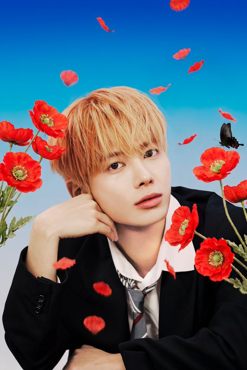 jtot_m's tweet photo. 1匹だけしかも黒い蝶いるのなんでですか‼️ https://t.co/4U0pfTT1IP