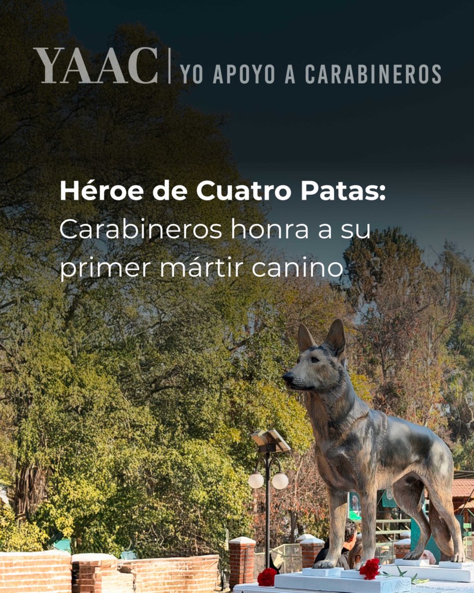 YAAC #YoApoyoACarabineros tweet media