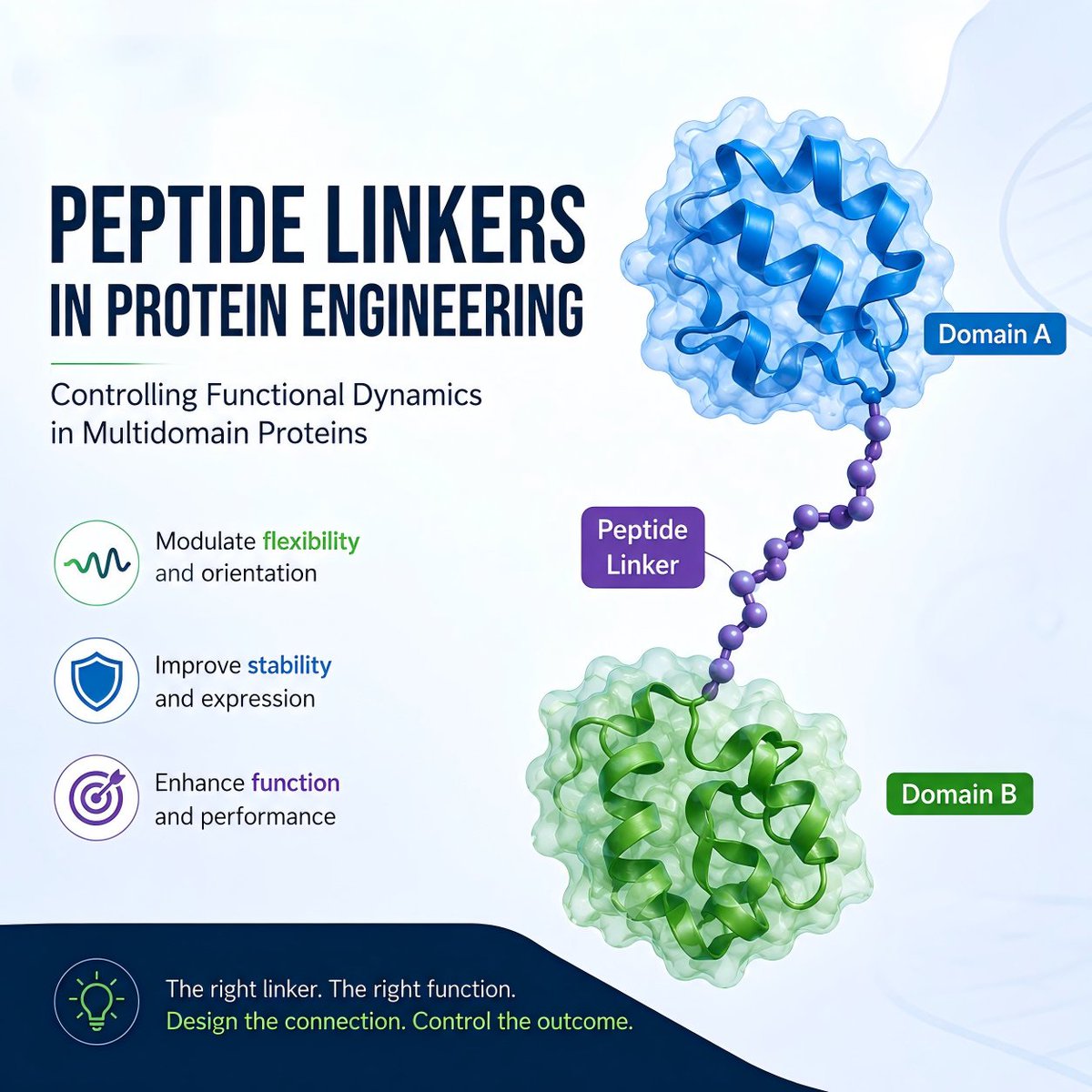 Linkpeptide's tweet photo. Peptide linkers can make or break fusion protein performance. Learn how linker design influences flexibility, stability, and function in protein engineering.

https://t.co/AeVB60KWAY

#ProteinEngineering #PeptideLinkers #Biotech https://t.co/gsfvt8eQUr