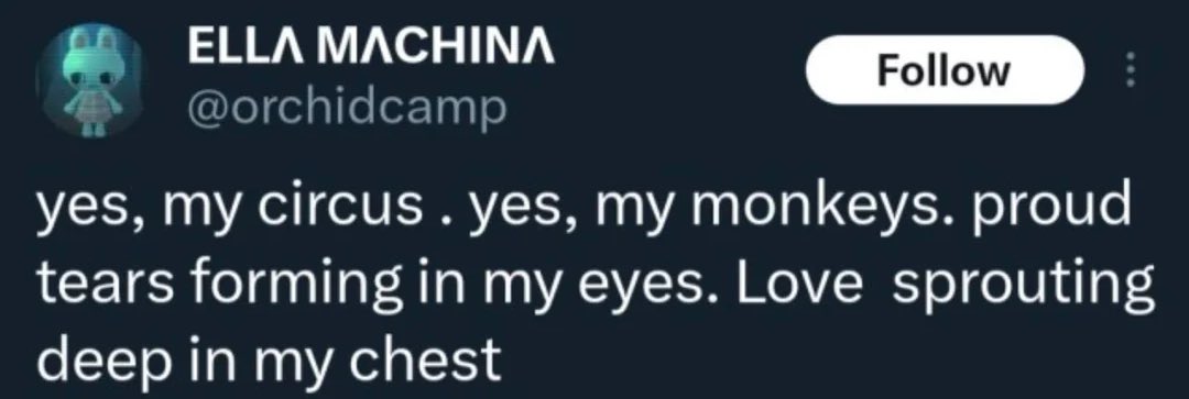 bts saw lilia tweet media