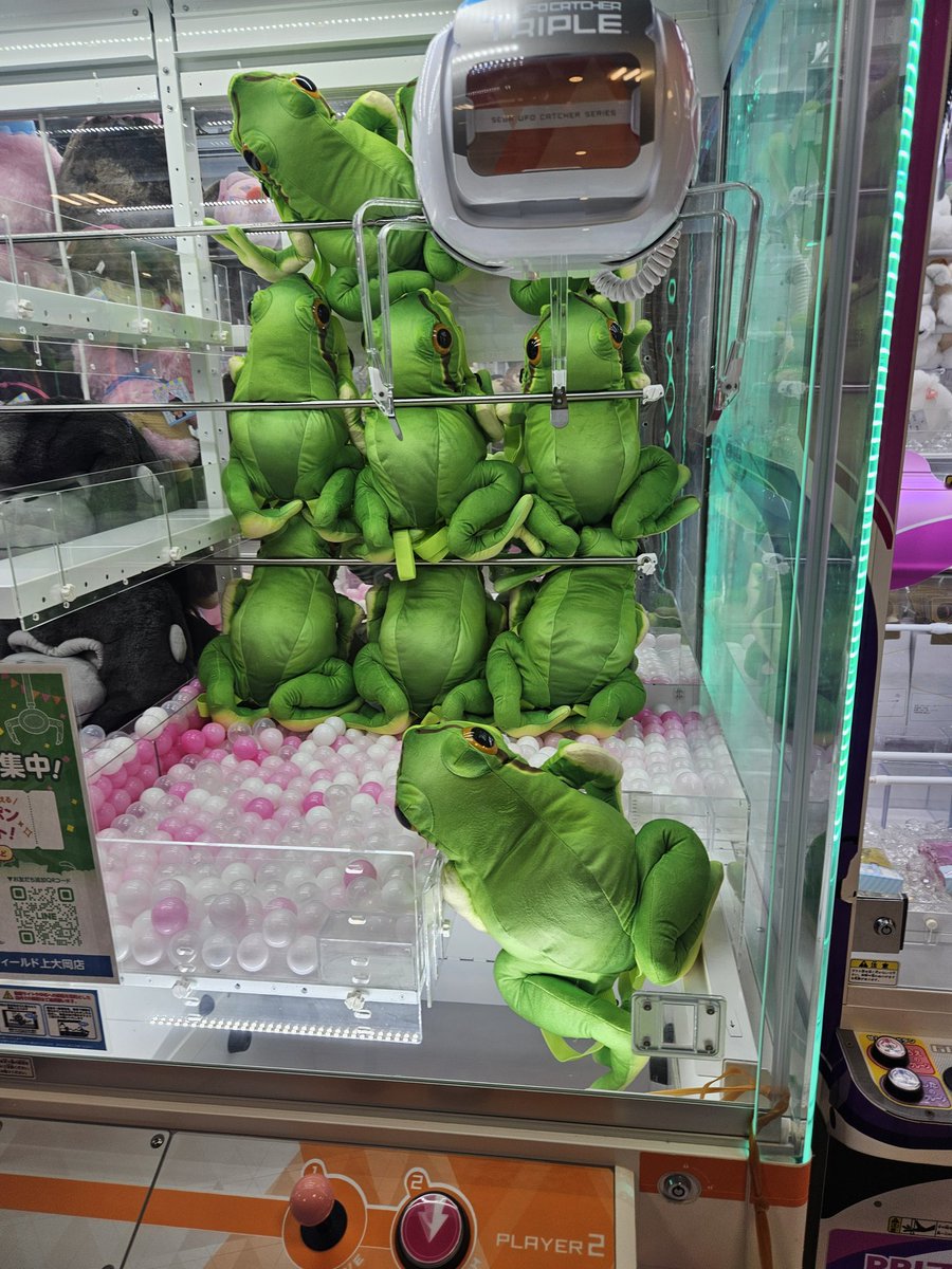 ayaykaaaa738's tweet photo. 生き物好きな息子にはたまらないリュック！！背負ってるのは娘だけど🤣息子にあげるやつ！生フェスで背負って行くよ！🤣
#生フェス　#蛙のリュック　#クレゲ https://t.co/DSwCNEFebS