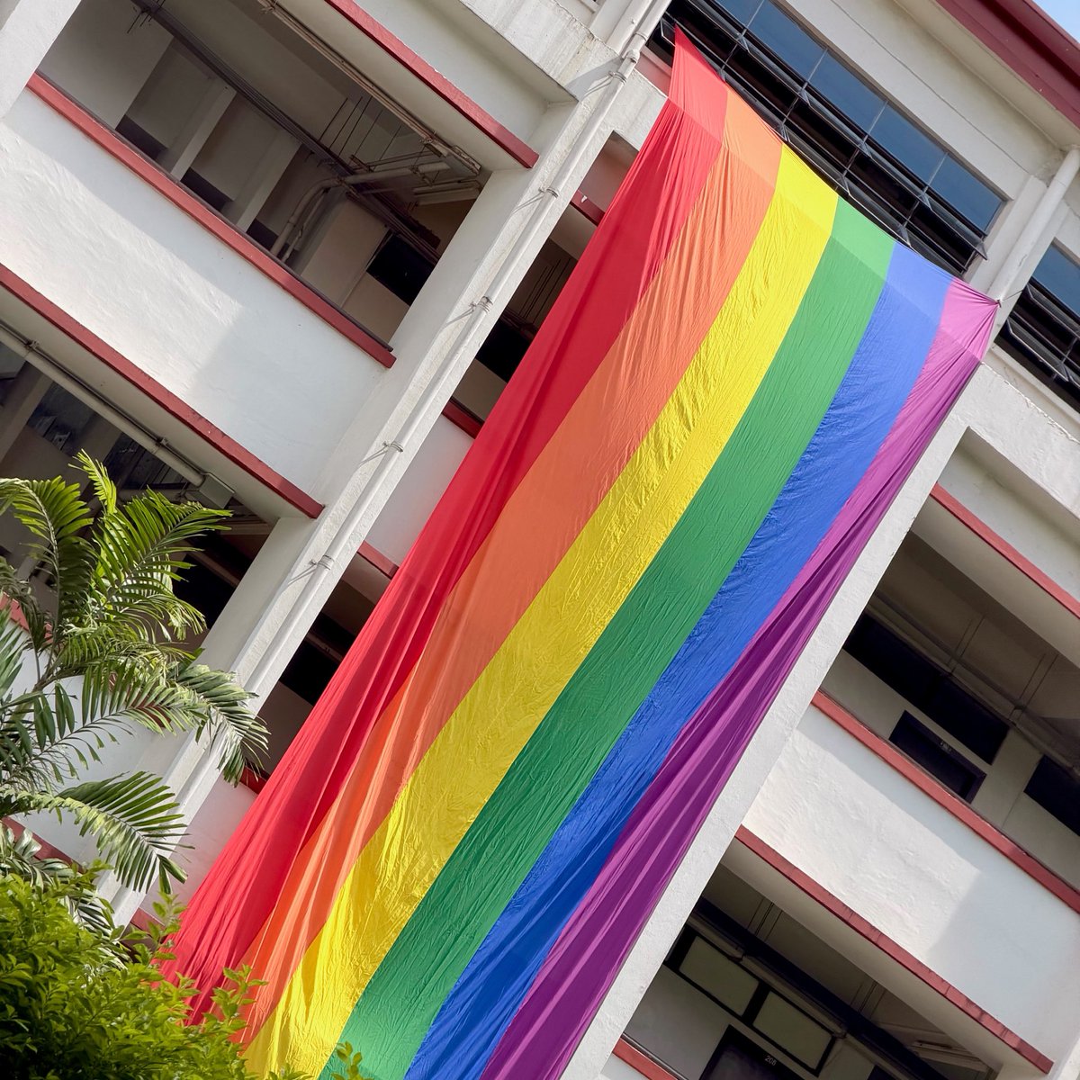 _elleestforte's tweet photo. late upload 😬🏳️‍🌈 https://t.co/YIfn7D39gW