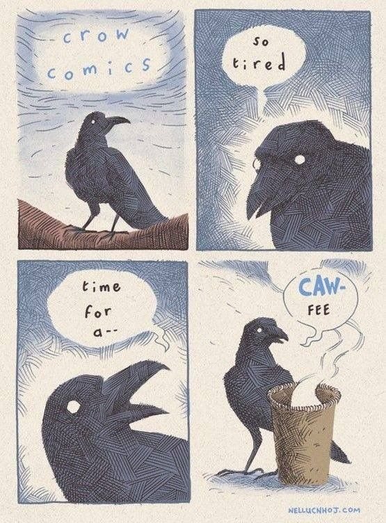 The_Regal_Raven's tweet photo. https://t.co/FJMkdHp2ov