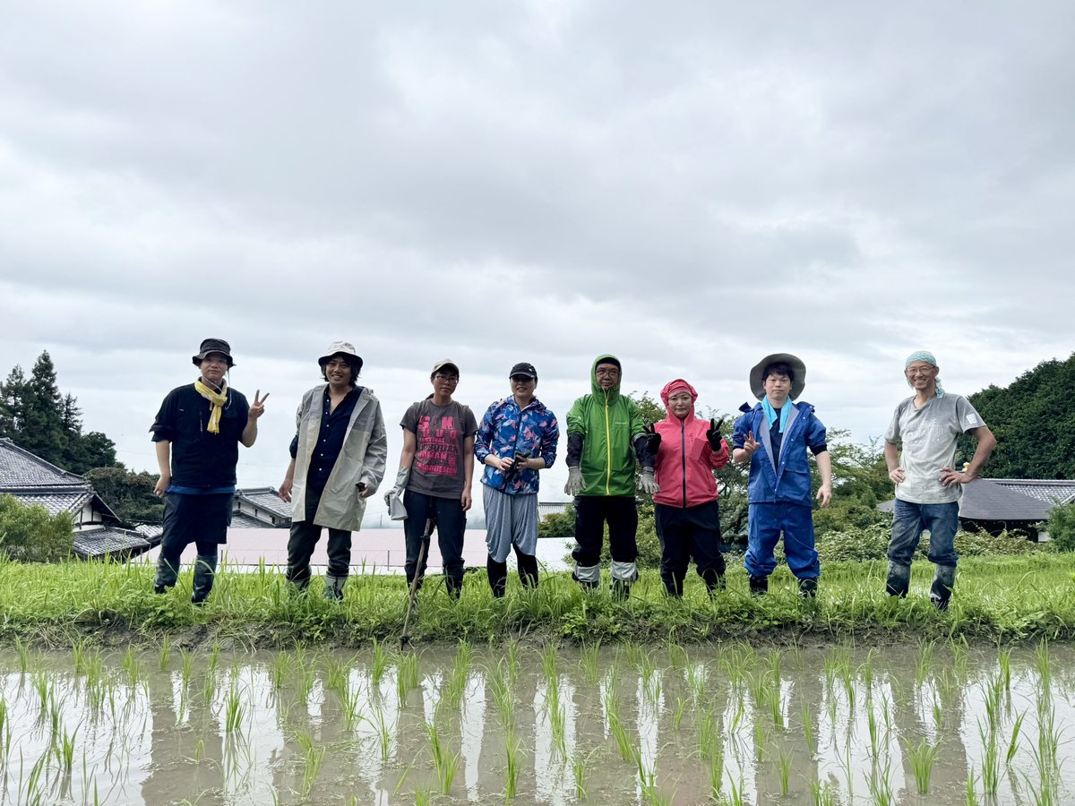 roshutan's tweet photo. 月曜日は風の森無農薬秋津穂の田んぼの草抜きに行ってきました
このお米は当店でお出ししてるS風の森になります
その後は蔵見学もさせていただき��意義な一日でした

本日もお席まだまだ空いてます
お待ちしてます！ https://t.co/lWOFIEh4L7