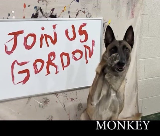 xmav00's tweet photo. @GordonGekko monkey would love showing you more paintings
AAQbZw5Cuvy4eVaviB7kMfjqwbnikCbUH7Jy5WZzpump https://t.co/1L3iIC4k1S