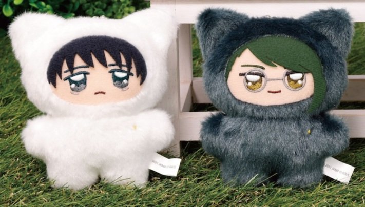 ytmkrt's tweet photo. 실물 개귀엽다진짜 https://t.co/6QiruoGeDe