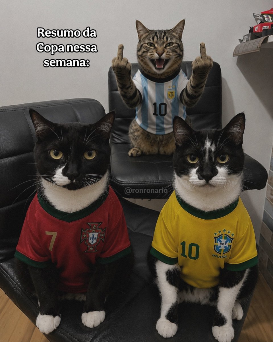 MiauNoPoder's tweet photo. 🌍⚽É isso no mundo da bola.
⚽Egito se lascou e tbm foi roubado.
⚽ Suiça é próxima que será roubada
Bom dia
#SUIxCOL #ARGxEGI https://t.co/FKq6Hc1cno