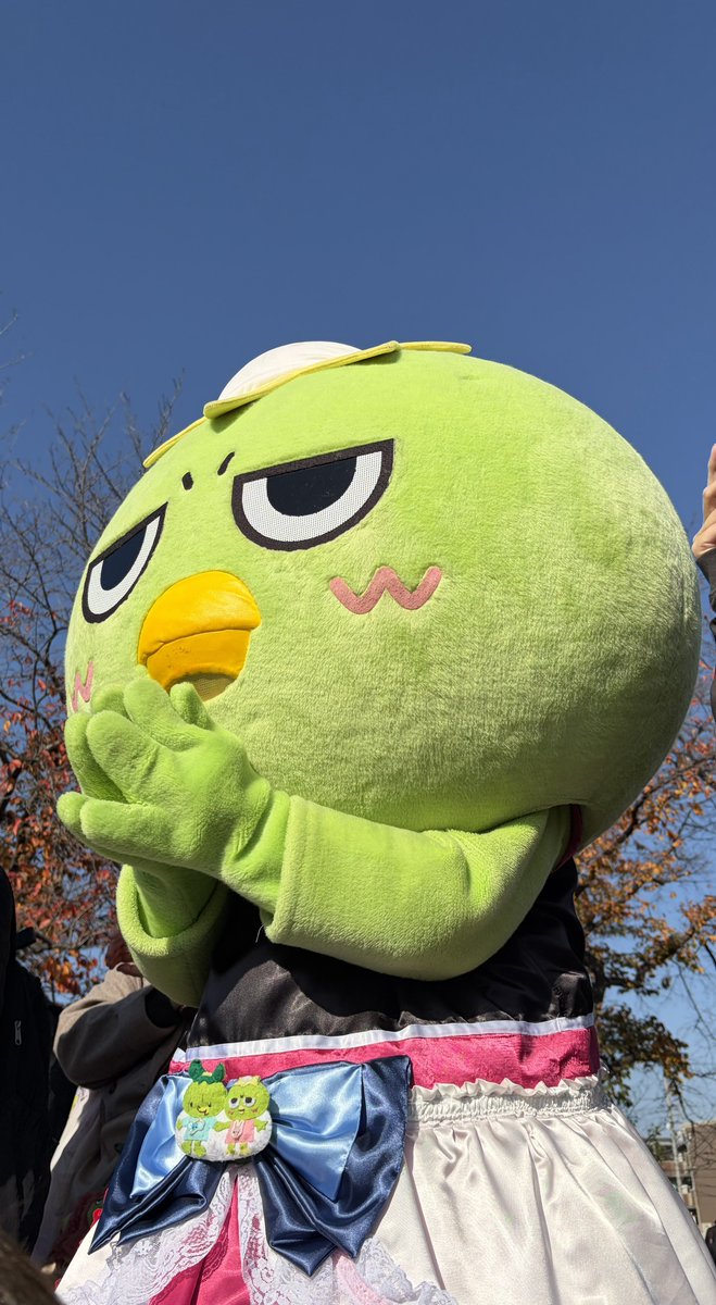 felixpyon's tweet photo. どんなことにも真っ直ぐで一生懸命なぐりーんちゃんを応援してます((*ﾟ∀ﾟ)) https://t.co/cljIQXvUBk