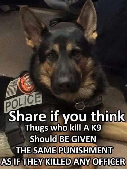 _XDogs's tweet photo. https://t.co/EIjdiKPROh