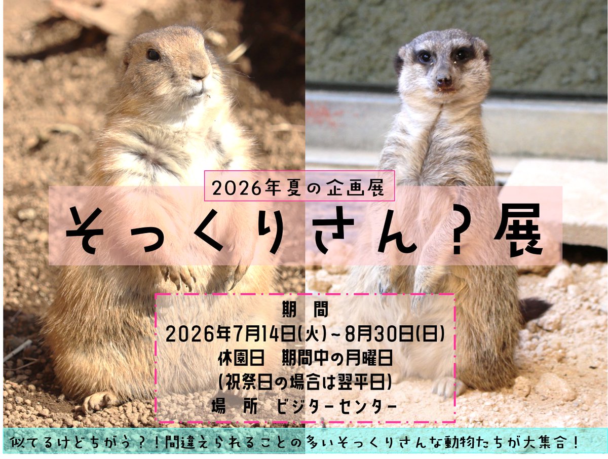 静岡市立日本平動物園 (@nhdzoo) / Posts and Replies / X