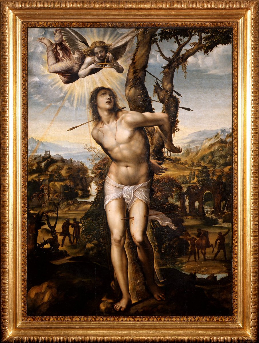 Art_Deano's tweet photo. St Sebastian by Il Sodoma, 1525 https://t.co/w3ujTkjixP