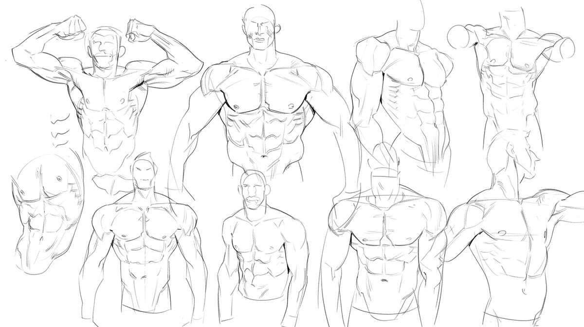 OSporin's tweet photo. torso studies https://t.co/LkPso6JrLA