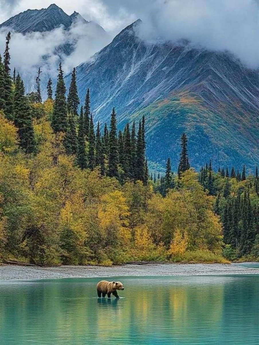 luc_fam's tweet photo. @Sophia56891 @MrMrnagah @EvilDoma @WTekat @box_117 @N__Bal @Irmknz @Qs3488 @Saori__M @YNHallak @yenigull15 @zahoorap1 @marijotrue @zezoo4433 @ElderAcost @Elmaslegal @Gooddlovee @StellaMars2 @NawarAllawi @alexrajimenez @JusticeGanesh @JuAdi84673761 @CarlosOchoa_G2 Good morning and have a great day ! Thank you @Sophia56891 💐🕊️for the lovely inclusion 💕💐
💕@luc_fam 🕊️💕🌷💯 https://t.co/vOr2Bk3VsA