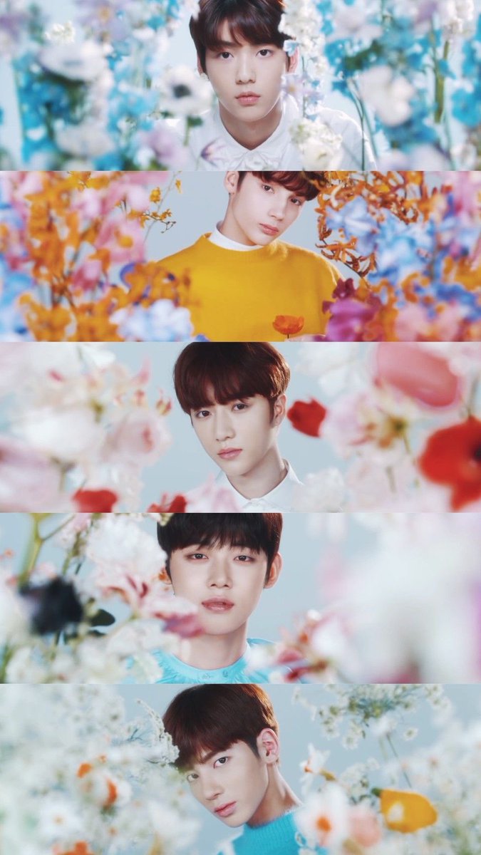 L0VELYBEOMIE's tweet photo. bloom concept lowkey brings me back to their questioning films 🥹 https://t.co/ec4zXtKZwa