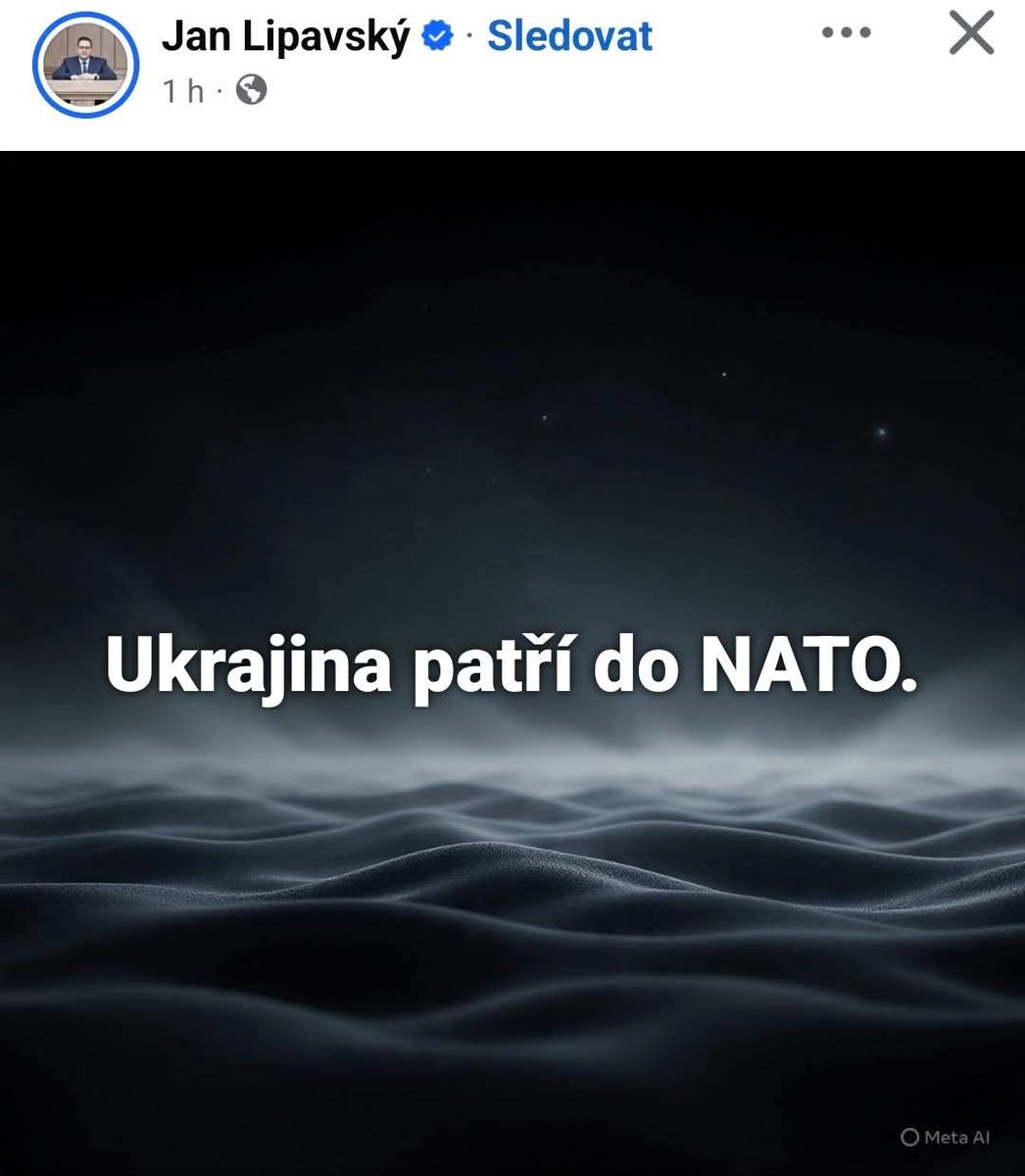 Michal73287034's tweet photo. On je fakt lobotom. Tyhle jeho tupý výkřiky, to už je vážně... to je imbecilita. Jak mohl tenhle idiot dělat ministra zahraničí...🤦🤦🤦 https://t.co/YIkZ8SbuWd