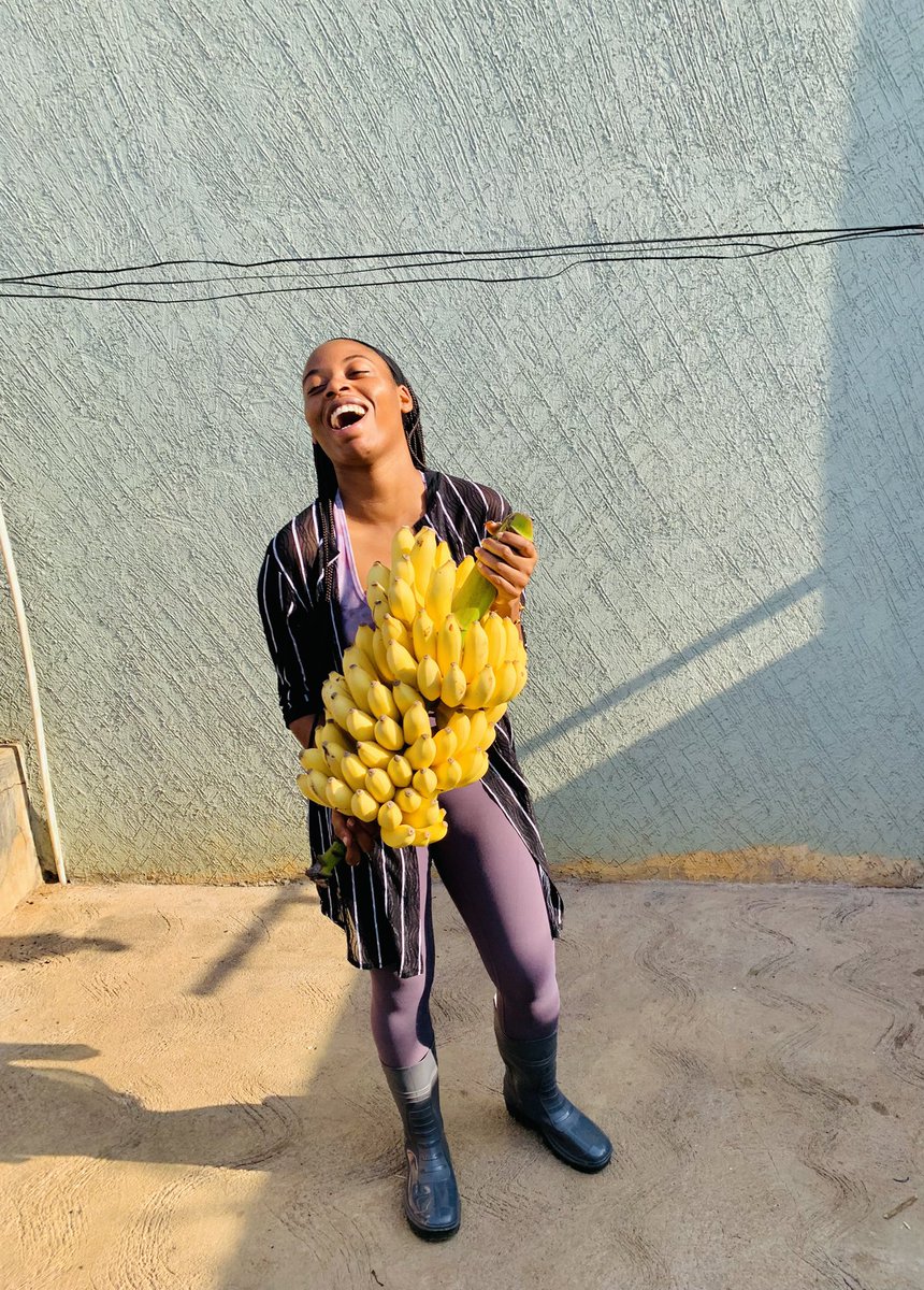 AkBlenda's tweet photo. If you planted something today, would you have the patience to wait for the harvest 🍌🍌

Who else loves bananas as much as I do? 🙋🏾‍♀️ come join me 😊

#BananaLovers https://t.co/fqj13h2tro