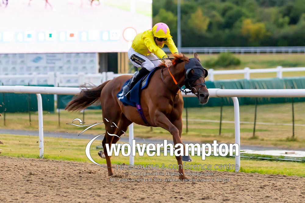 Wolverhampton Races tweet media