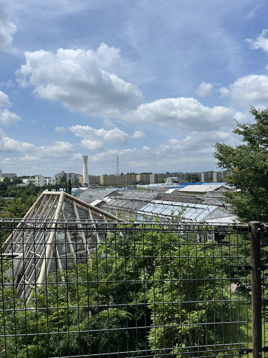 agtagreen07's tweet photo. 府中にある都の試験場に行って来ました。新品種の東京ブルーブーケ🫐や野生種との交雑種を見させて頂き、勉強になりました。採用試験についても聞けて良かったです。 https://t.co/KUosDNNVvs