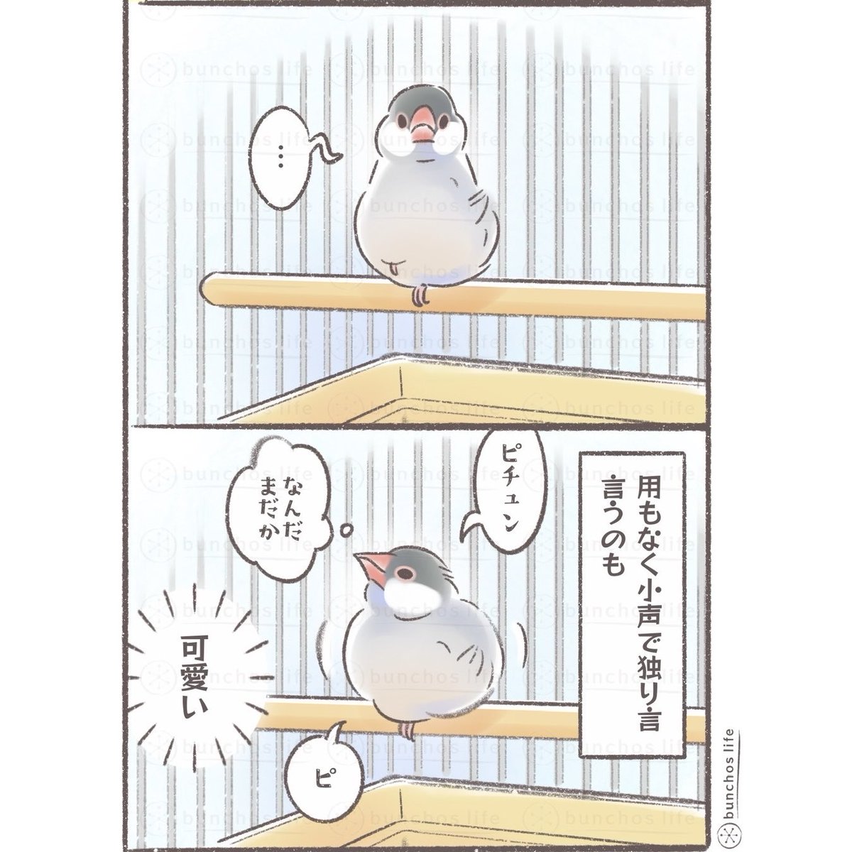 こむぎ🕊️ (@komugi_chan55) / Posts / X