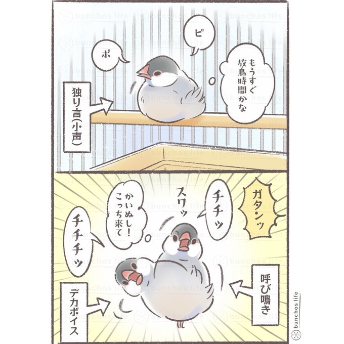 こむぎ🕊️(@komugi_chan55) さんのマンガ一覧 | ツイコミ(仮)