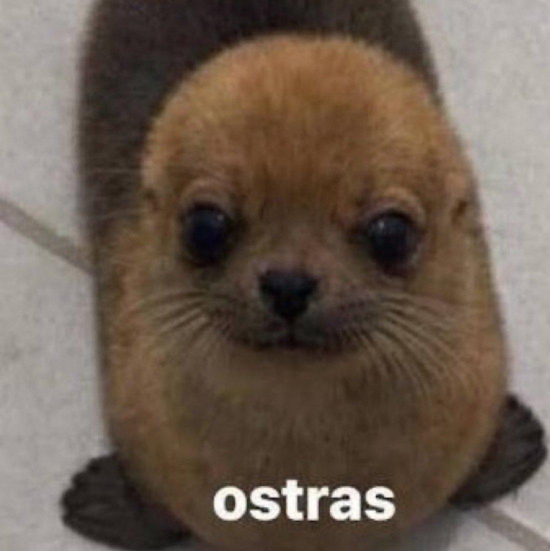 juuanalonso's tweet photo. @Aitanax https://t.co/rKcwH75rZ9