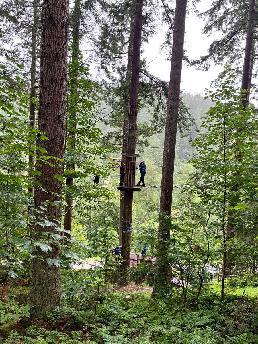 tombennett71's tweet photo. Booked my kids onto Go Ape! high-wire treetop escapades in Peebles, Scotland. Imagined they were going round with a guide or something. Turns out you have to go with them. Next: https://t.co/2KznRlxrHL
