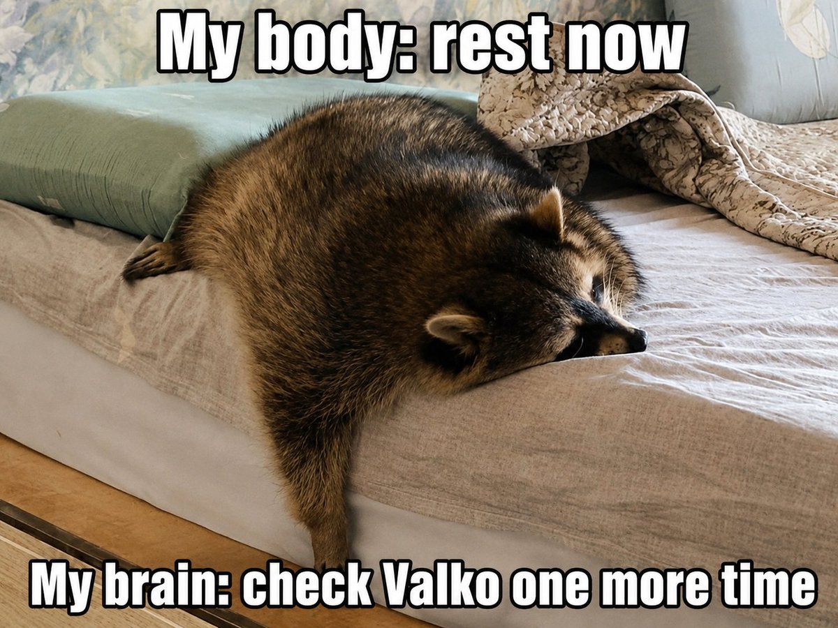 MisaChapters's tweet photo. Anyway, I really hope all our efforts will lead to something positive.

And honestly, they already have, with all of our beautiful actions ☀️

We are beautifully stubborn. 💚🐺🧡

#BringValkoBack #KeepValkoAlive #Valko #JusticeForValko #恋与深空 #SaveValko #BringBackValko https://t.co/72FQdbKsHM